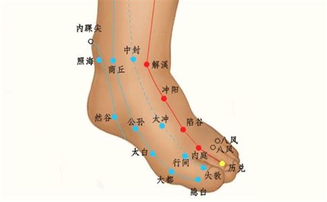 厉兑 定位|厉兑穴的准确位置及按摩厉兑穴的方法有哪些？